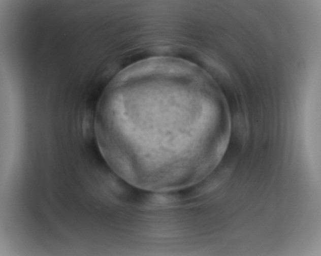 X0000113940234200910091629