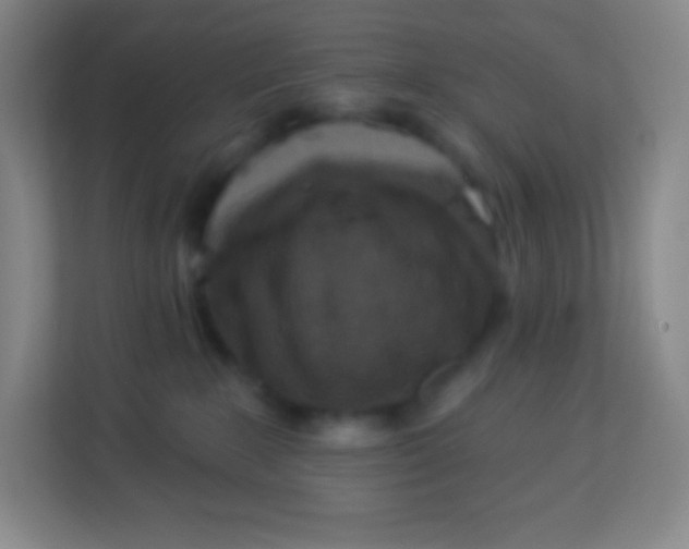 X0000113940235200910091629