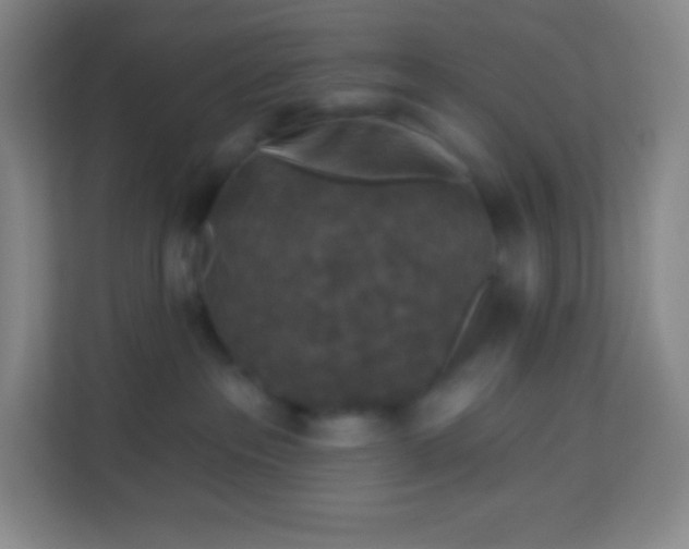 X0000113940237200910091629