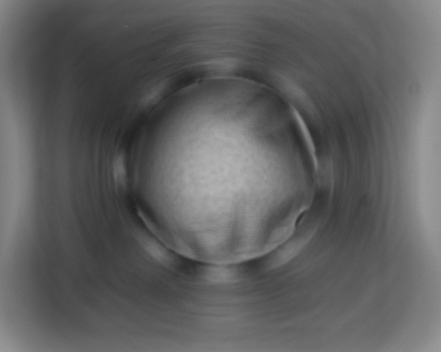 X0000113940238200910091629