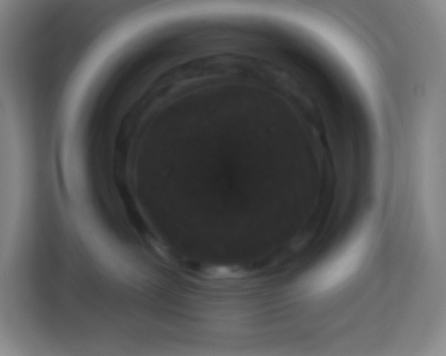 X0000113940239200910091629