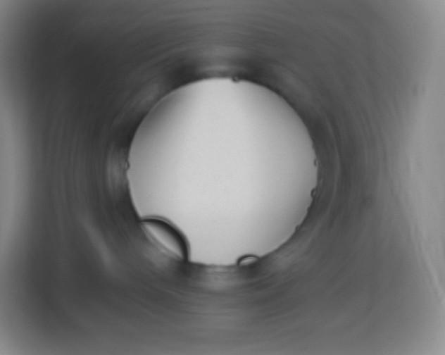 X0000113940240200910091629