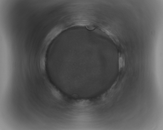 X0000113940243200910091628