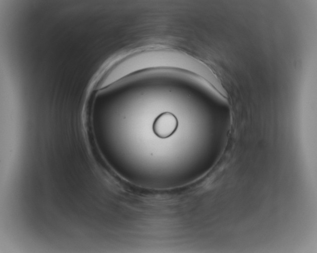 X0000113940244200910091628