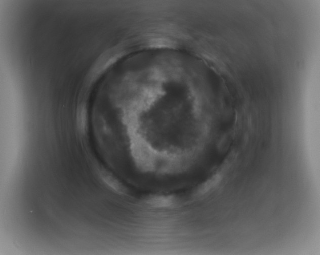 X0000113940247200910091628