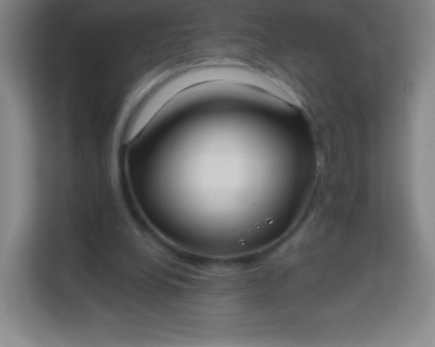 X0000113940248200910091628