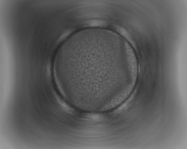 X0000113940249200910091628