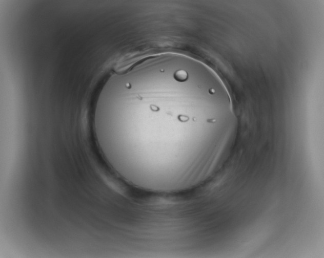 X0000113940250200910091628