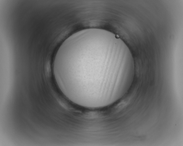 X0000113940251200910091628