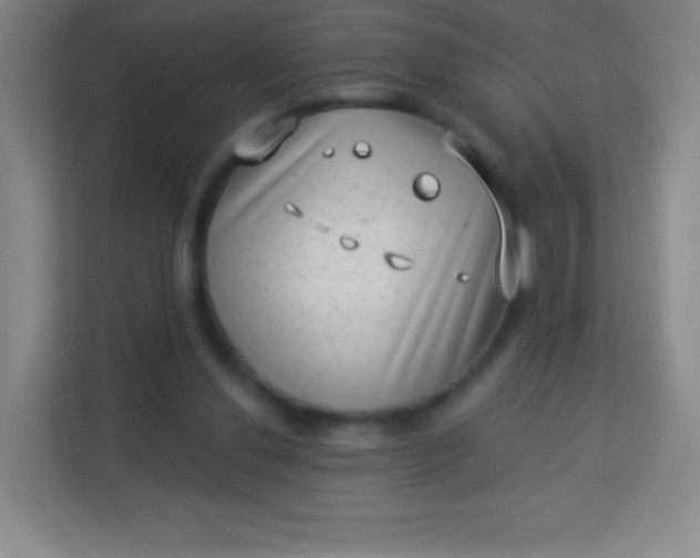 X0000113940252200910091628