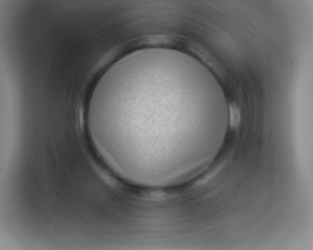 X0000113940253200910091628