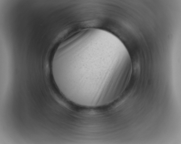 X0000113940254200910091628