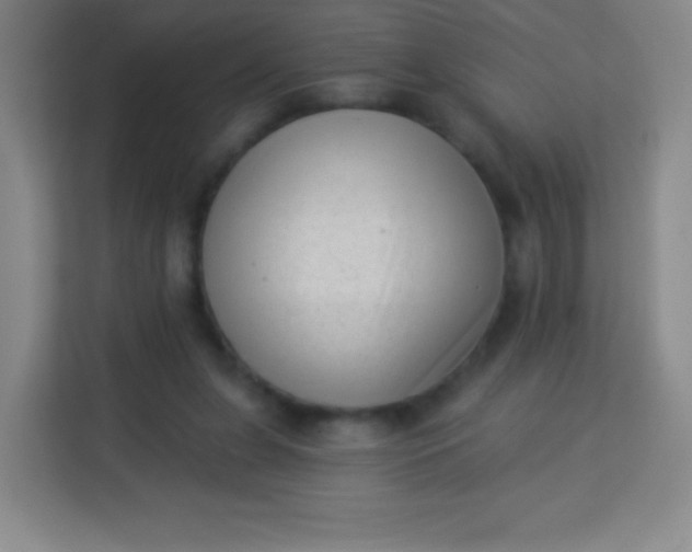 X0000113940255200910091628