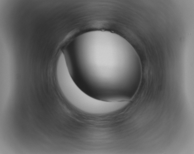 X0000113940256200910091628