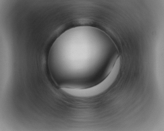 X0000113940260200910091629