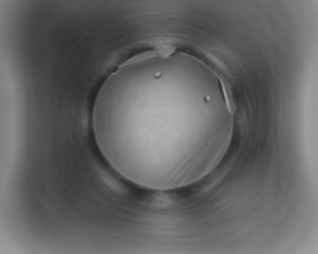 X0000113940261200910091629