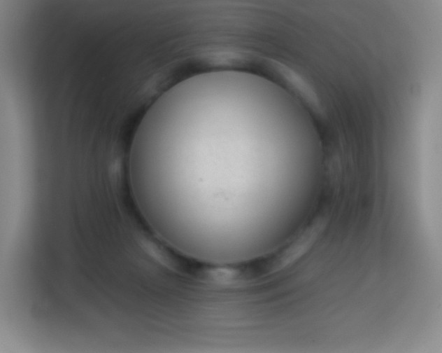 X0000113940265200910091629