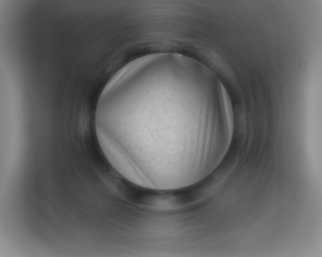 X0000113940266200910091629