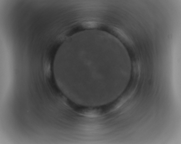 X0000113940267200910091629