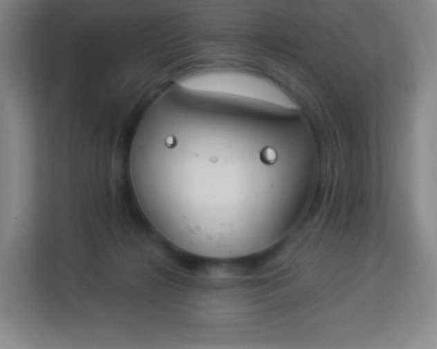 X0000113940268200910091629