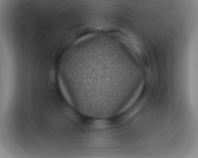 X0000113940269200910091629