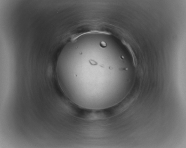 X0000113940270200910091629