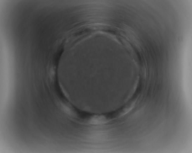 X0000113940271200910091629