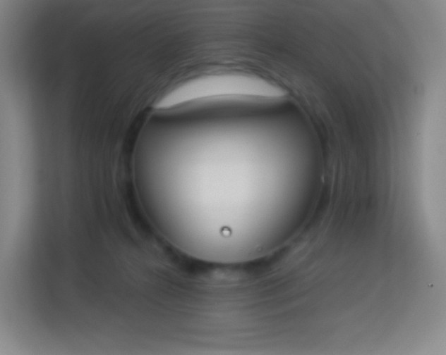 X0000113940272200910091629