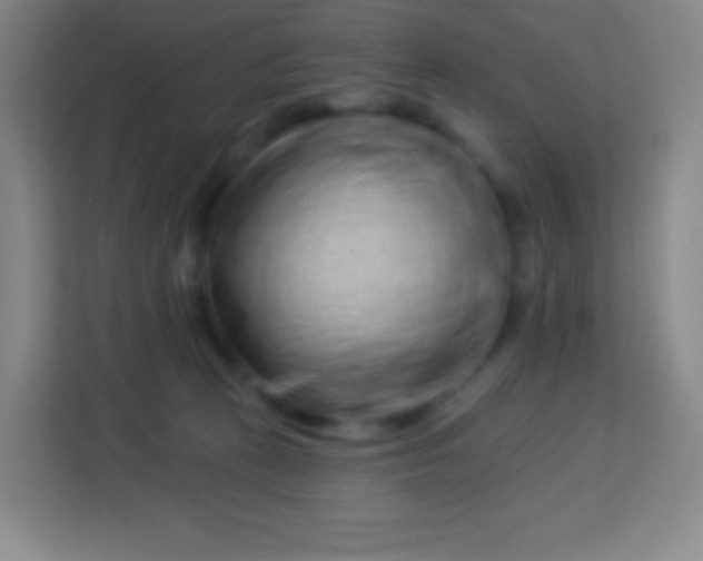 X0000113940273200910091629