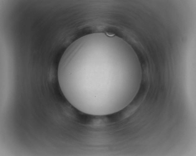 X0000113940274200910091629