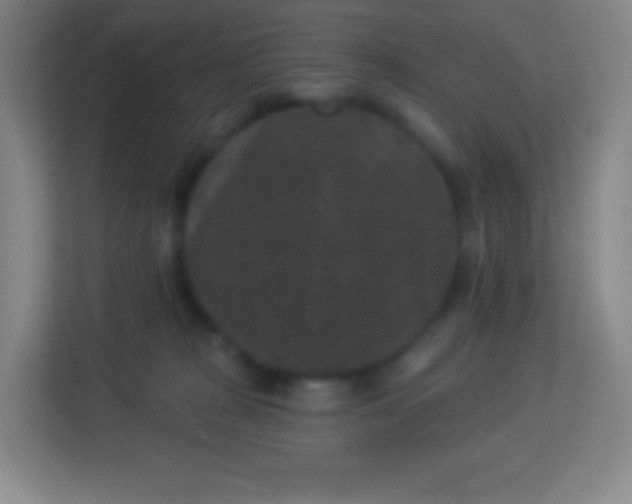 X0000113940277200910091629