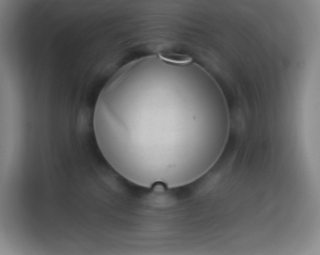 X0000113940280200910091629