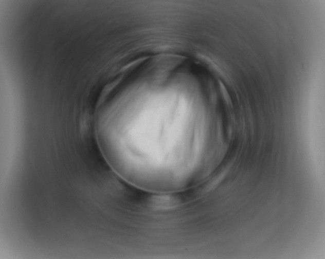 X0000113940281200910091629