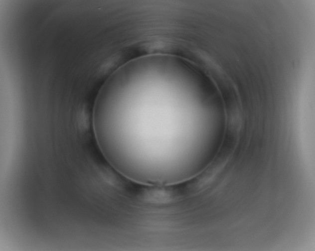 X0000113940282200910091629