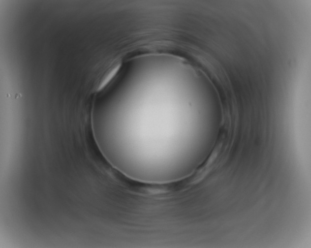 X0000113940284200910091629