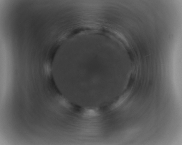 X0000113940285200910091629