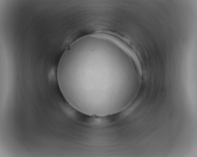 X0000113940286200910091629