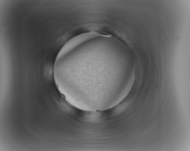 X0000113940288200910091629