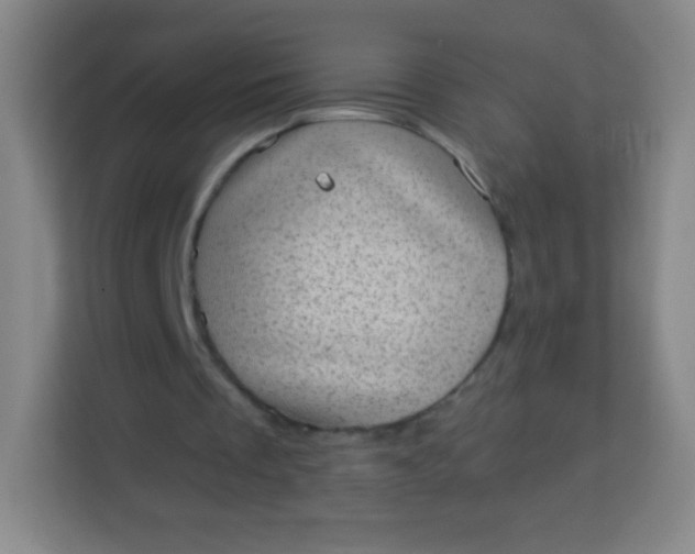 X0000113940289200910091628