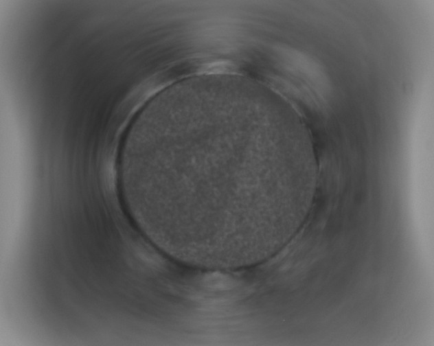 X0000113940290200910091628