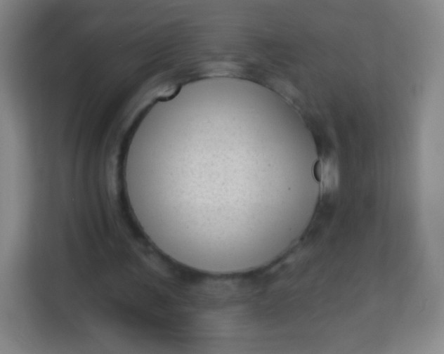 X0000113940291200910091628