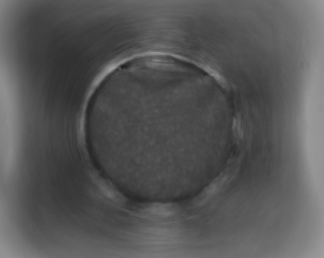 X0000113940292200910091628