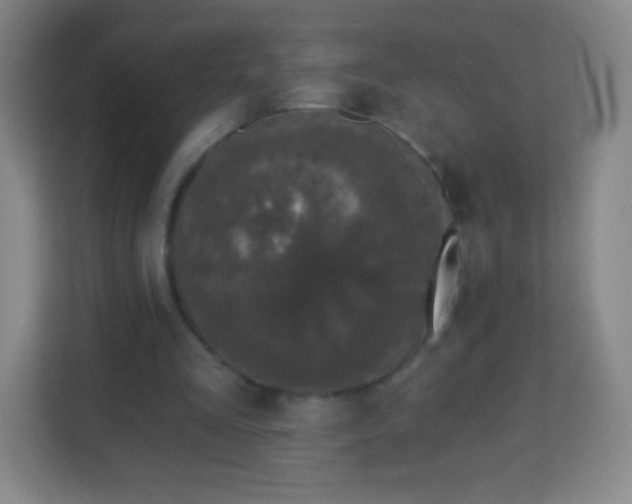 X0000113940293200910091628