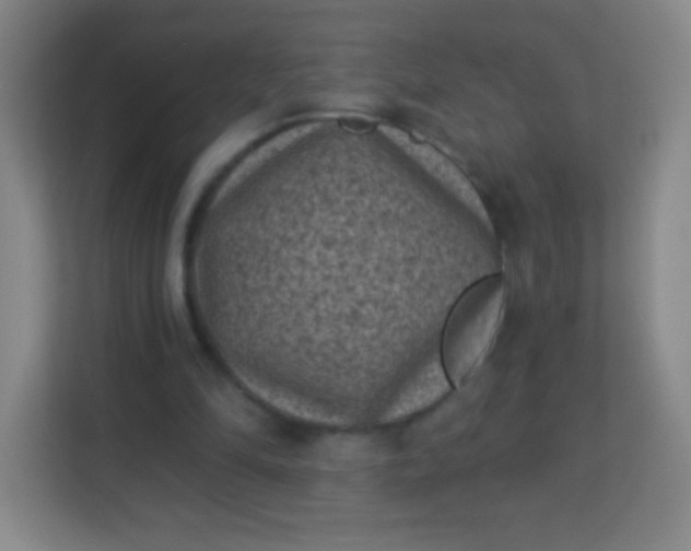 X0000113940294200910091628