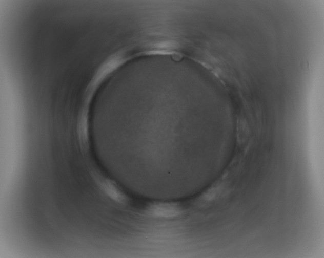 X0000113940296200910091628