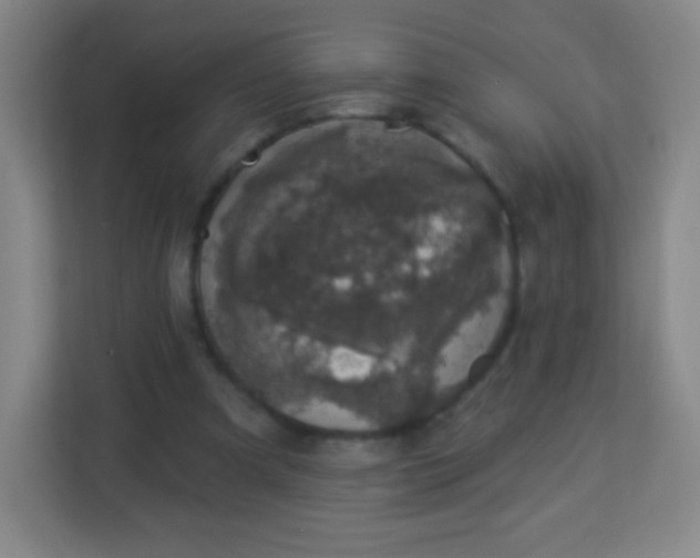 X0000113940297200910091628