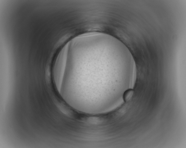 X0000113940298200910091628