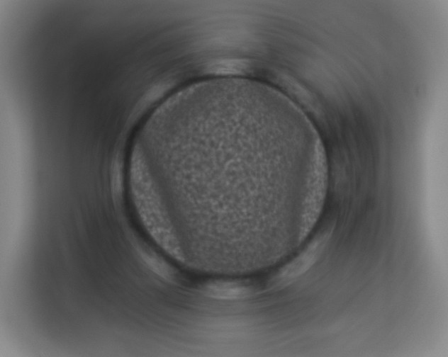 X0000113940299200910091628