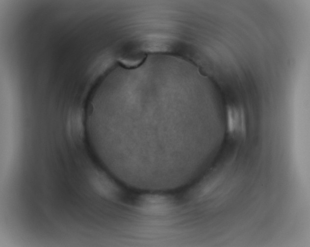 X0000113940300200910091628