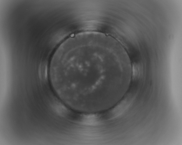 X0000113940301200910091628